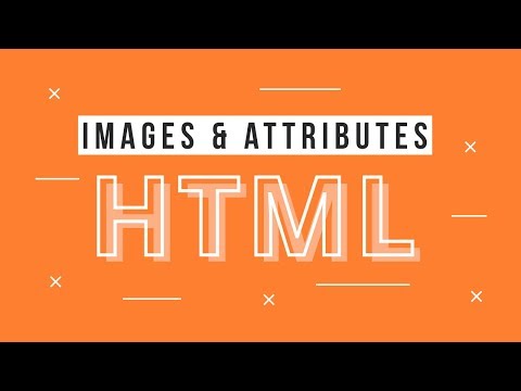 Introduction Learn HTML to build responsive websites 01