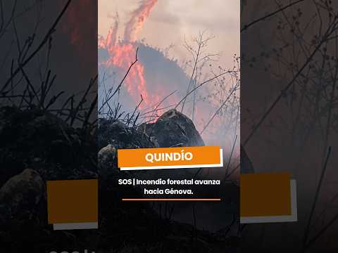 SOS | Incendio forestal avanza hacia Génova. #quindío #lacrónicadelquindío #noticias