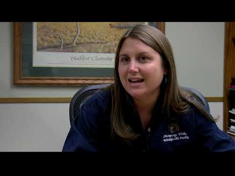 Does a new hunting season mean you should get new hunting gear?