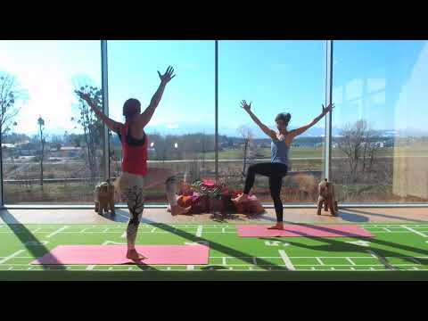 SLOW VINYASA YOGAFLOW mit Stephanie & Alina - ONLINE YOGA - ONLINE KURSE