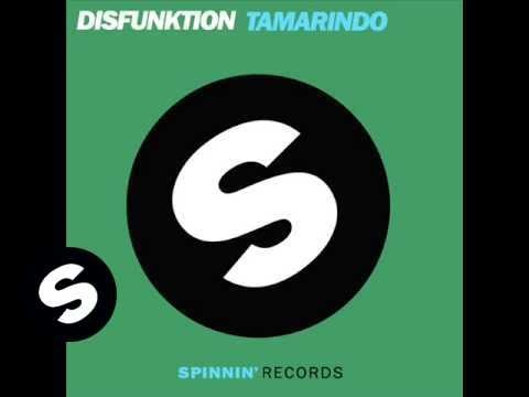 Disfunktion - Tamarindo (Muzikjunki remix)