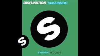 Disfunktion - Tamarindo (Muzikjunki remix)