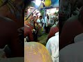 Mathavankurichi Sri Manthiramoorthi Kovil Kodai 2019