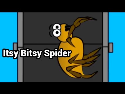Itsy Bitsy Spider Song by the GoFish Guys