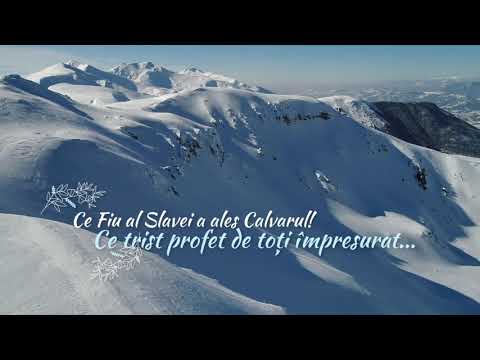 Jeanina Ivascu - La staul jos (Colind Oficial 2018)