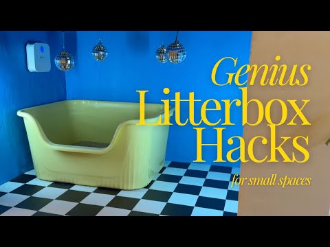 10 Creative Litter Box Setups for Small Apartments (NYC Edition)