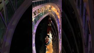 Cruise nights on deck under the ocean sparkling moon can’t be beat. #cruise #travel #ocean