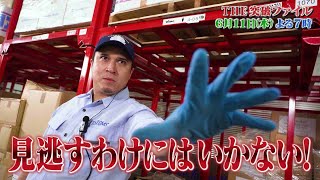 【公式】6月11日（木）よる7時～「THE突破ファイル」海＆山から迫り来る脅威を防げSP