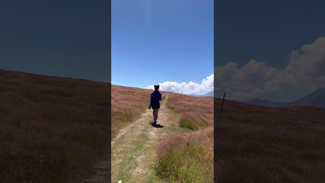 YouTube Short thumbnail