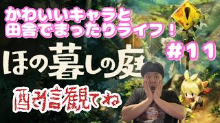 【田村保乃暮らしの庭】彼々津村とか言う田舎でまったりスローライフ！【ほの暮らしの庭】１１