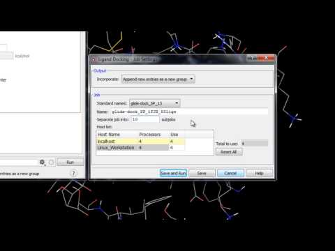 Glide Ligand Docking - Submitting the Ligand Docking Job