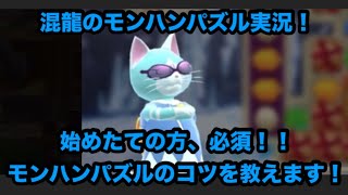 混龍のモンスターハンターパズル・アイルーアイランド実況part１３