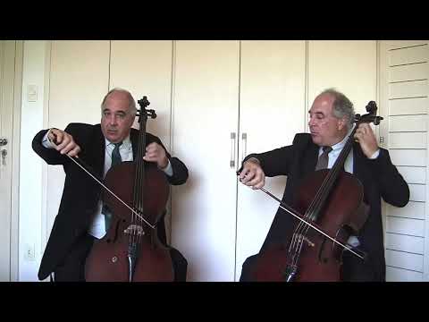 Duo Santoro interpreta o Concerto para dois violoncelos de Vivaldi com a Orquestra Instituto GPA