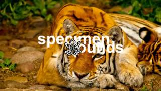 Little Dragon - Sunshine (Shlohmo Remix)