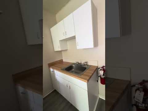 254 W Elm St Kent OH 44240 MFH7 .MM .T2 - Video 2 of 2