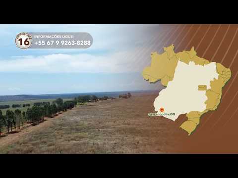 Terralmo 16: Fazenda à venda em Serranópolis/GO