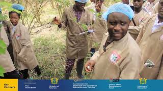 HOW TO IDENTIFY THE PLANTS AND THEIR FUNCTIONS