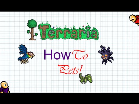 Terraria 2 PC