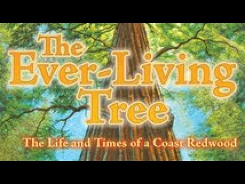 THE EVER-LIVING TREE THE LIFE AND TIMES OF A COAST REDWOOD Journeys Read Aloud 4th Grade Lesson 23