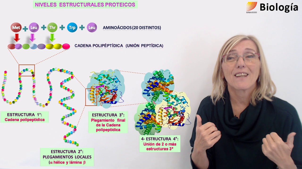 11-Biología.Proteínas