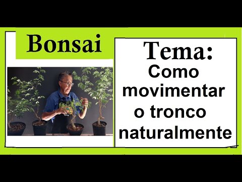 Como movimentar o tronco naturalmente