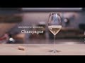 Vinglass Champagne 1-pakning Klar