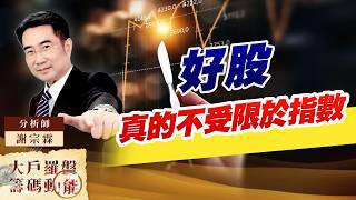 好股真的不受限於指數｜大戶羅盤籌碼動能 ｜謝宗霖