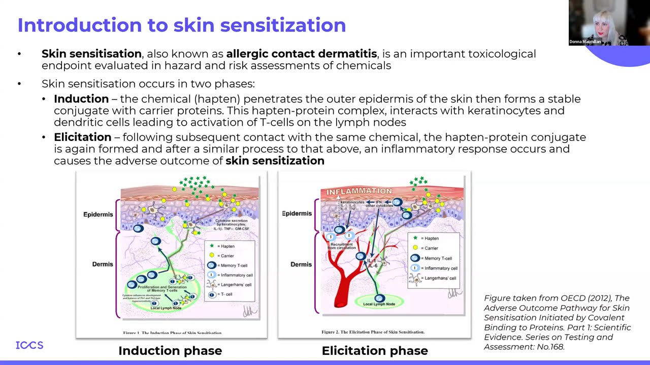 Regulatory tools for assessing the skin sensitization potential of chemicals and a case study