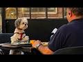 Cute PUPPIES Becomes A Little Human Top Funny Puppies Videos Ever