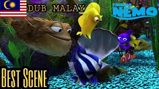 Download lagu Menemukan Nemo | Nemo terdampar di akuarium [Bahasa Melayu] Malay HD mp3