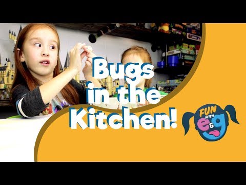 Bugs in the Kitchen by Ravensburger | Hexbug Nano