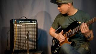 Video thumbnail for YAMAHA F20B Bass amp by Surin Vintage