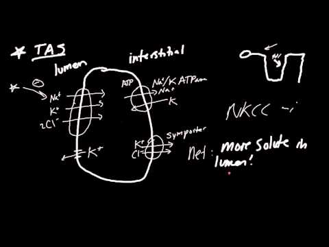 Loop Diuretics Made Simple!