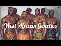 West African Genetics ᴿᴱᴹᴬˢᵀᴱᴿᴱᴰ FᎾᎡᏟᎬᎠ ᏢᎾᏔᎬᎡFᏌᏞ Sublimin