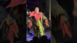 that's Harry Hook 🏴‍☠️➡️🪴 Thomas Doherty starring in "Little Shop of Horrors" Off Broadway NYC