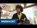 Leidse onderzoeker Auke-Florian wil weten waarom meerkoet zo van plastic houdt - OMROEP WEST