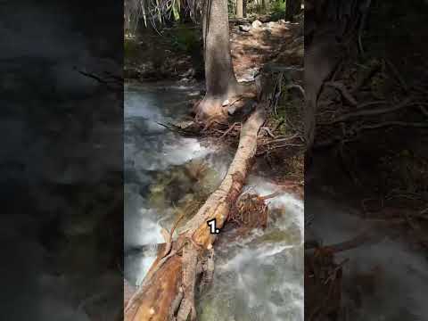 River crossings on the Pacific Crest Trail! 🏞️