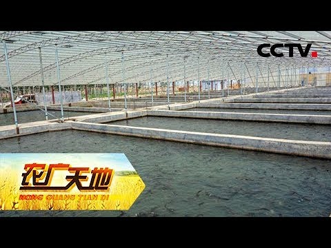 《农广天地》鱼来耕田 水来生钱 20181016CCTV农业