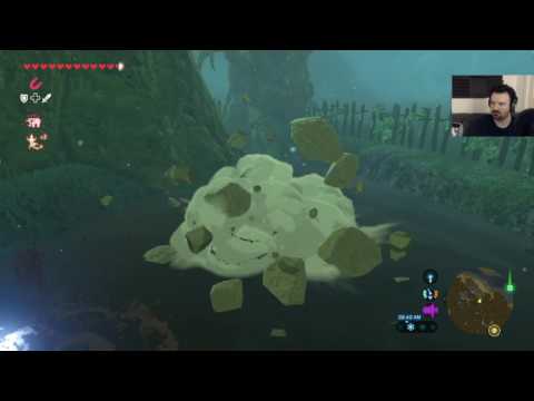 The Legend of Zelda: Breath of the Wild playthrough pt106 - One Hell of an Enemy Gauntlet!