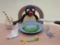 Pingu