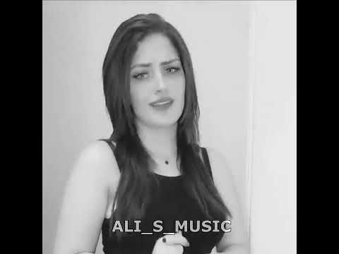 profit za3im-cheb halim-ndiro dayday