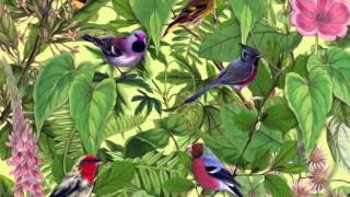 Mark Barrott - Back To The Sea