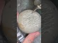 A Rare Fossil Find Clues On The Outside Fossil Science Rare