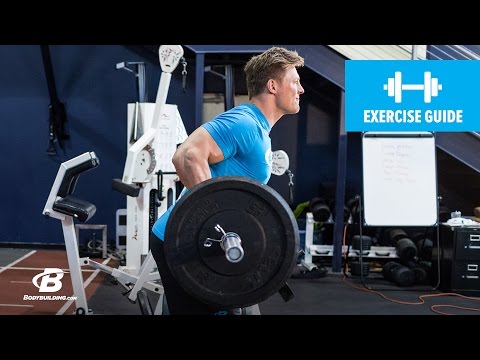 How To Do A Yates Row Reverse Grip | Exercise Guide