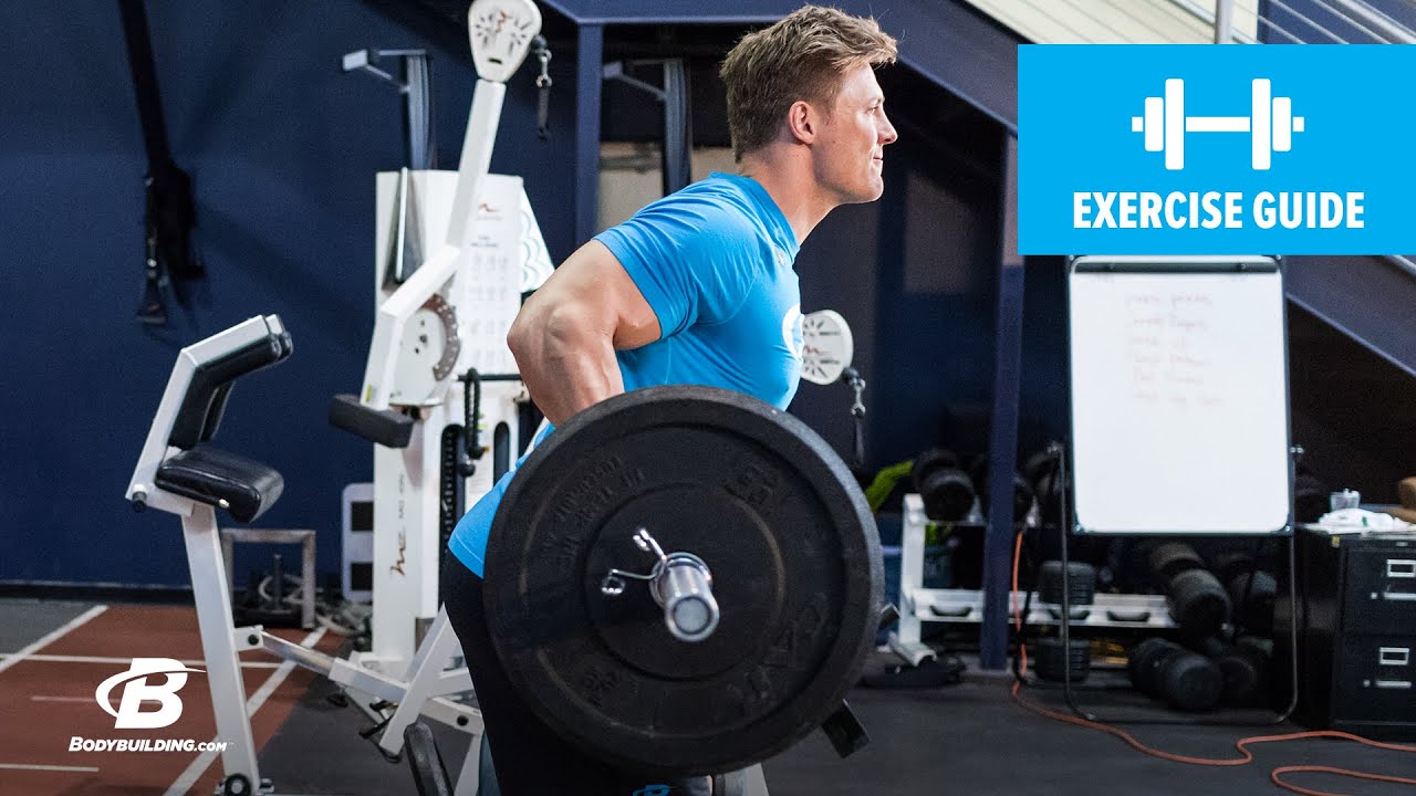 How To Do A Yates Row Reverse Grip | Exercise Guide - YouTube