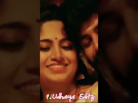 #nature #Tamila 🎶