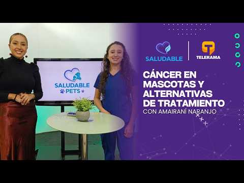Saludable: Cáncer en mascotas y alternativas de tratamiento