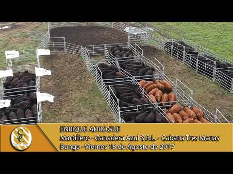 18-08-17 Nota Enrique Adrogue - Cabaña Tres Marias - Bunge.