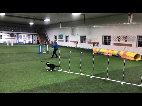 Teaching Tough Weave Entries - Video Example of Dec 2 Lesson with Coach Kayl McCann