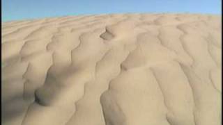 El Dorado Electric Light Orchestra.